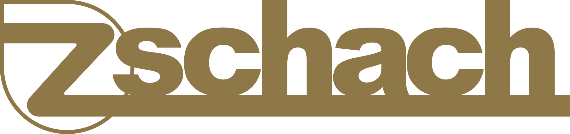 Zschach Center Logo